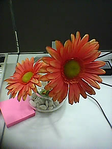 ZYQ Q3623 WiFi Finger 4 - แซดวายคิว Q3623 WiFi Finger 4 