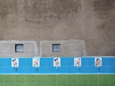 ภาพตัวอย่างกล้องหลัง 4