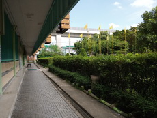 ภาพตัวอย่างกล้องหลัง 5