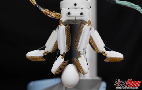 วิศวกรสร้างมือหุ่นยนต์เลียนแบบเท้าตุ๊กแก!
